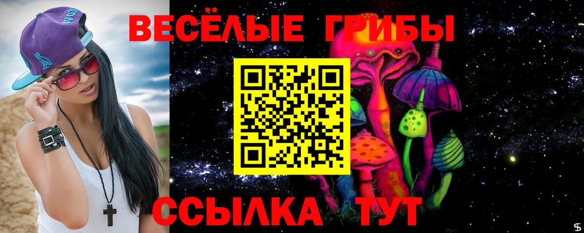 Псилоцибиновые грибы прущие грибы  Вход с VPN  Люберцы  Псилоцибиновые грибы Psilocybine cubensis 